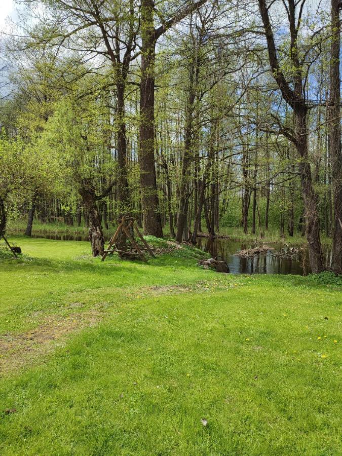 Agroturystyka Kajaki Sauna Pierogi Bakalarzewo Kültér fotó